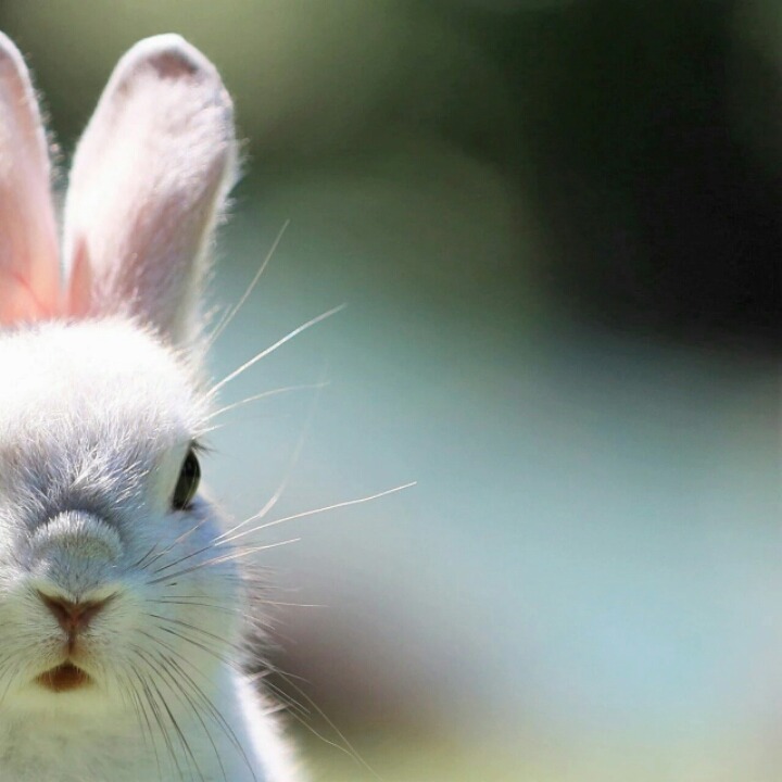 사진 못 찍는 애들이 찍은 사진들 특징 | 인스티즈