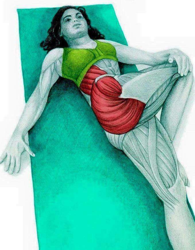 각 스트레칭별 자극이 가는 부위들 | 인스티즈