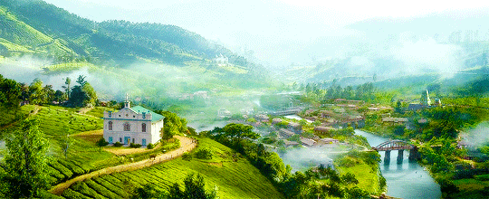 [라이프오브파이] 재개봉하면 아이맥스로 꼭 한번 다시 보고 싶은 영화.gif | 인스티즈