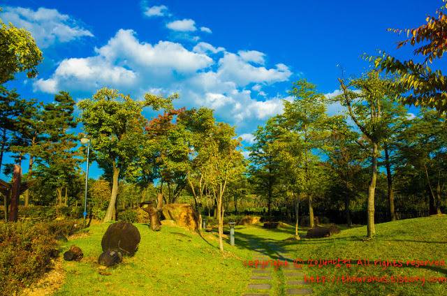 어느 지방 도시의 도심속 녹지.jpg | 인스티즈