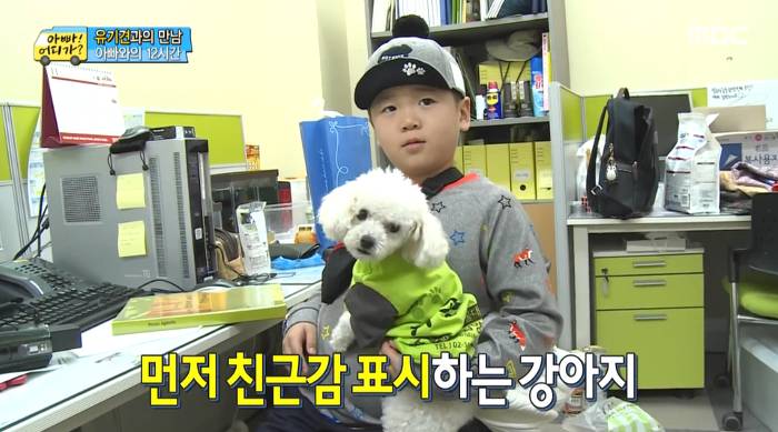 [아빠어디가] 유기견을 대하는 윤후의 태도 .jpg | 인스티즈