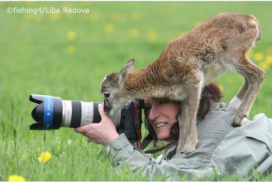 동물들과 친화력 | 인스티즈
