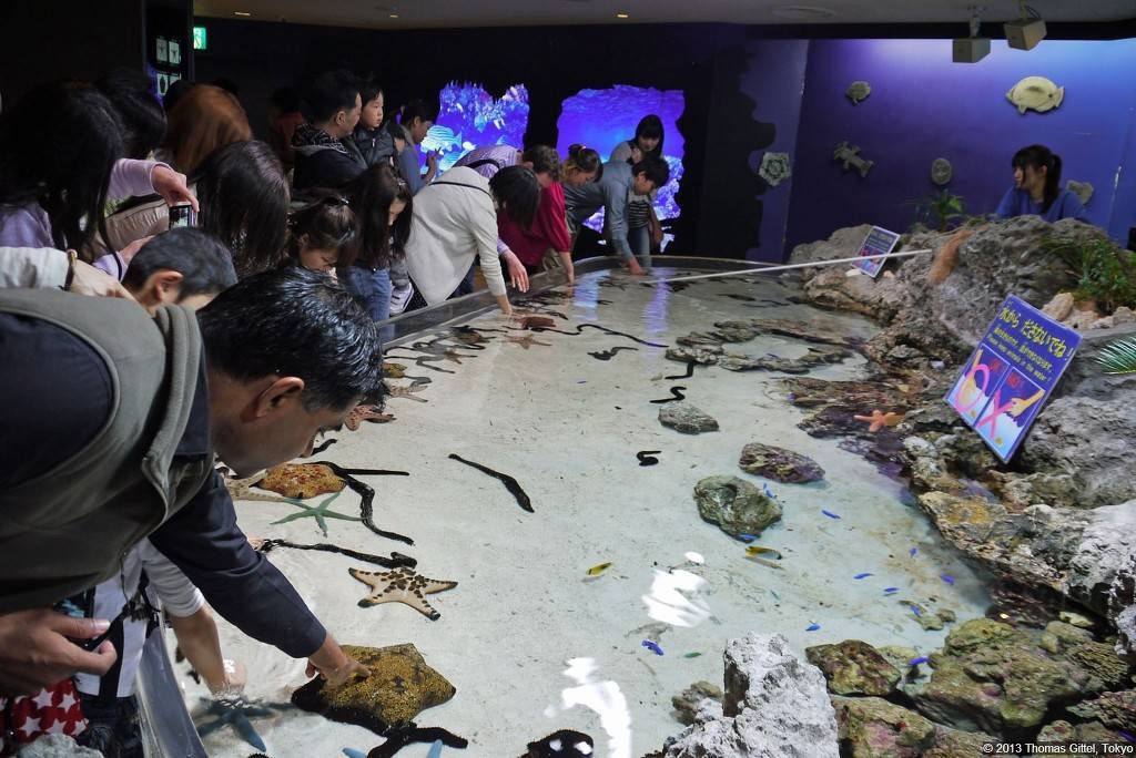 대학생 추천 여행지 오키나와 ㅎㄷㄷ | 인스티즈