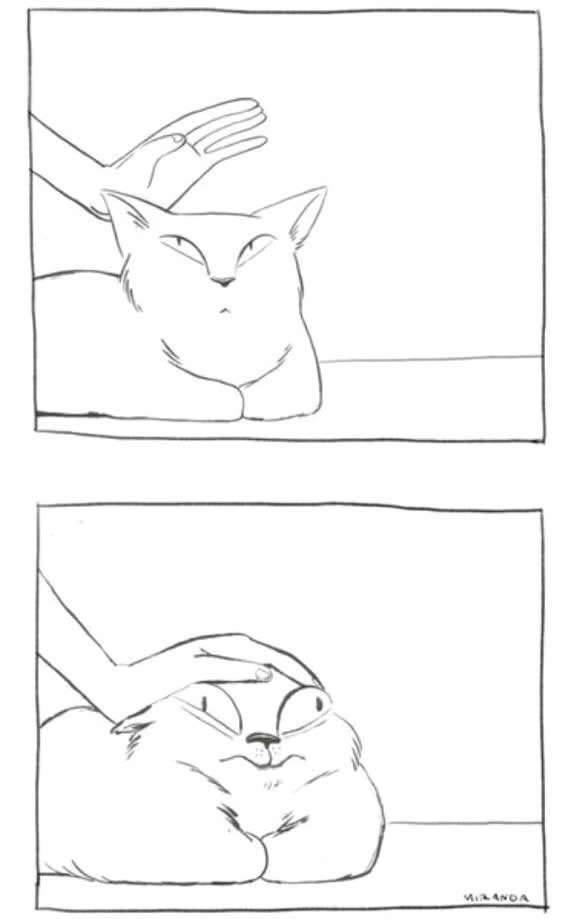 고양이 기르는 집사분들 고양이 쓰담할때 | 인스티즈