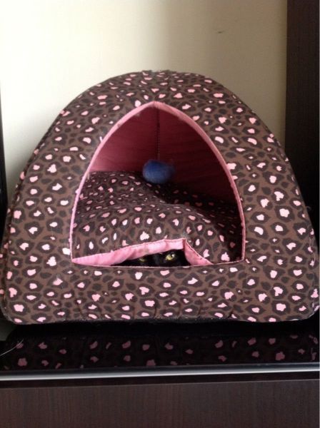 나 찾아보라냥~ | 인스티즈