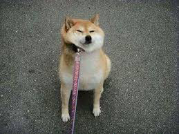 안 가 안 간다고.jpg | 인스티즈