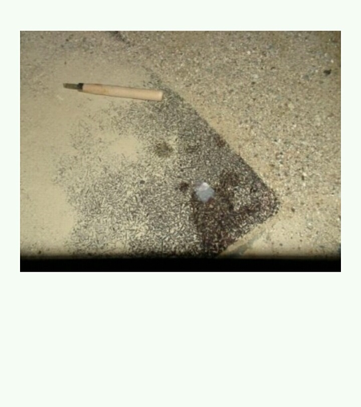 누가 이상한 돌을 줬는데...(번외完) | 인스티즈