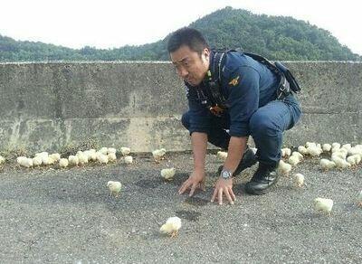 덩치에 어울리는 별명은 다 가진 남자.jpg | 인스티즈