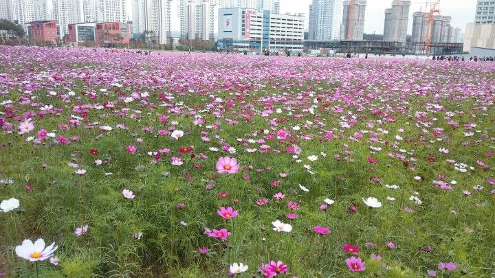 현재 광교신도시ㄷㄷ | 인스티즈