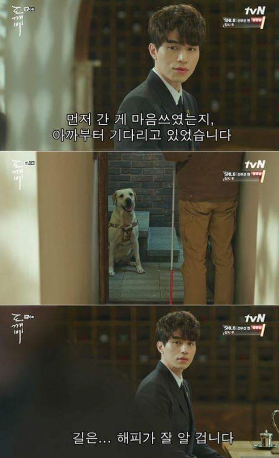 사람이 죽으면 먼저 가있던 반려동물이 마중나온다는 얘기가 있다.jpg | 인스티즈