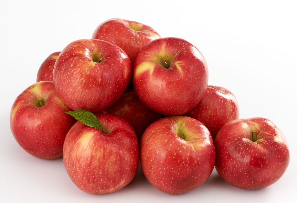 대구 사람이라면 많이 들어봤을 말 TOP10 | 인스티즈