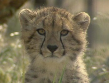 사진 못 찍는 애들이 찍은 사진들 특징 | 인스티즈