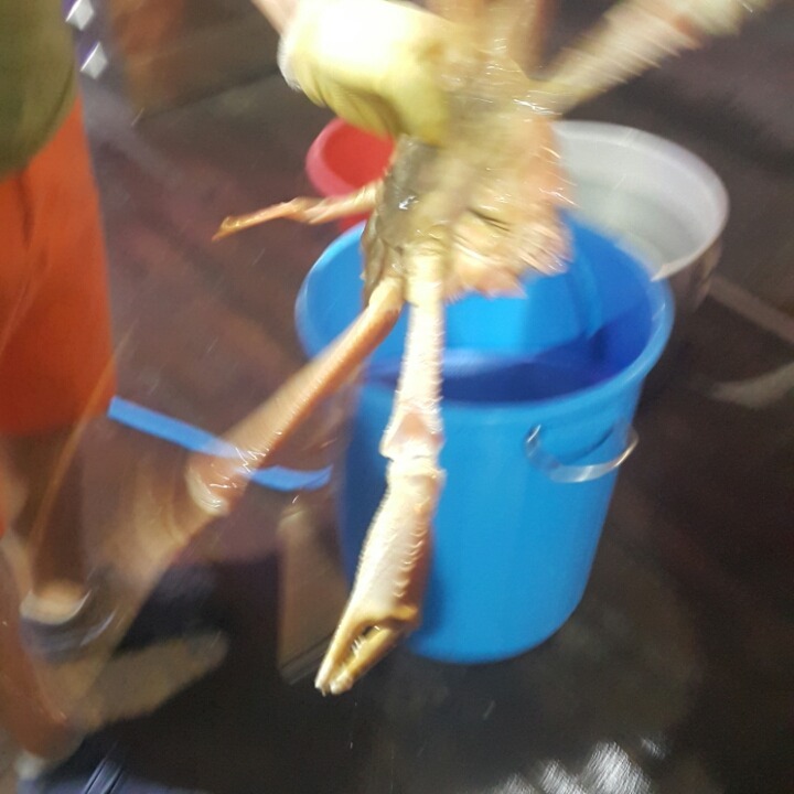 맛있는 음식은 좋은 | 인스티즈