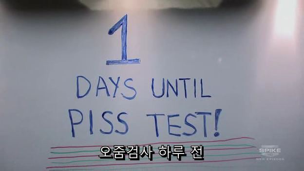 [BMS] S01E12 오줌검사편 中中 오일교환vs초산비닐수지 (15) | 인스티즈