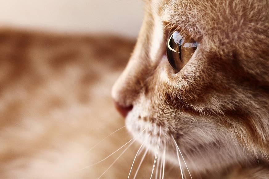 투명한 유리구슬처럼 보이지만~ | 인스티즈