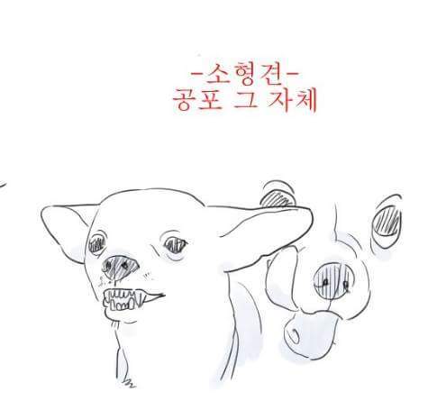 소형견과 대형견의 차이jpg | 인스티즈