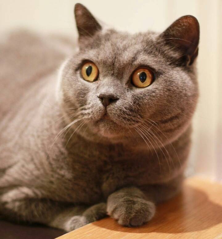 거대한 먼지덩어리들 | 인스티즈