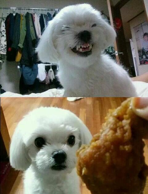 너네 걸그룹이야 | 인스티즈