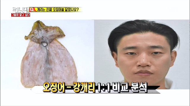 개리는 진짜 오징어를 닮았나요? | 인스티즈