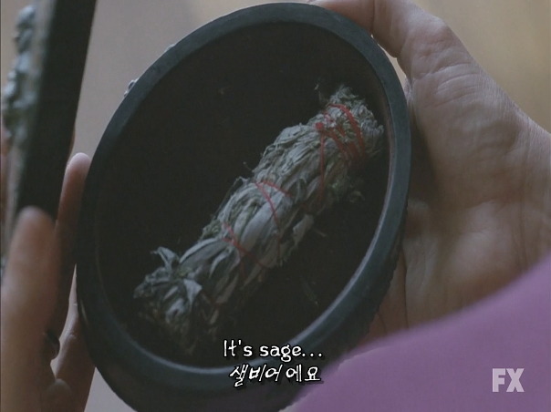 미드) 아메리칸 호러 스토리(아호스) 시즌1 1-3 | 인스티즈