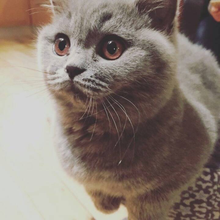 거대한 먼지덩어리들 | 인스티즈