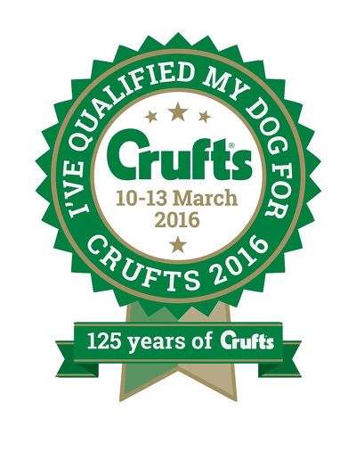 견종 이야기 - 진돗개 | 인스티즈