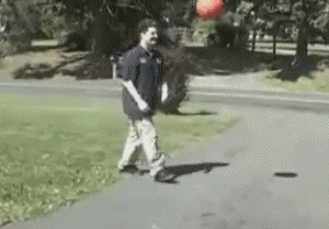 천조국 사람들한테 공을 주면 생기는일 | 인스티즈