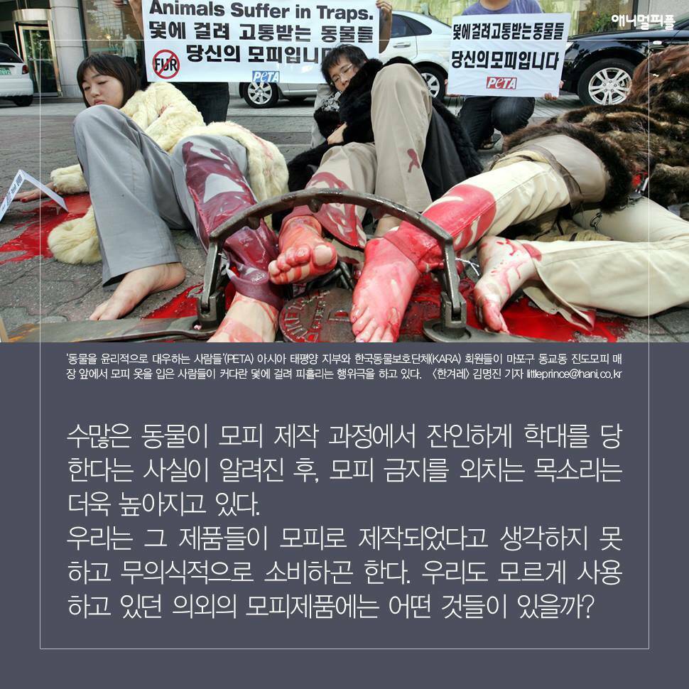 ??? : 아니 ㅅㅂ 말 못하는 강아지를 왜 때려...무슨 죄가 있다고... | 인스티즈