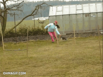 이걸 고양이가?.gif | 인스티즈