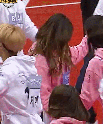 손잡고 춤추는 트와이스 시바견과 펭귄 | 인스티즈