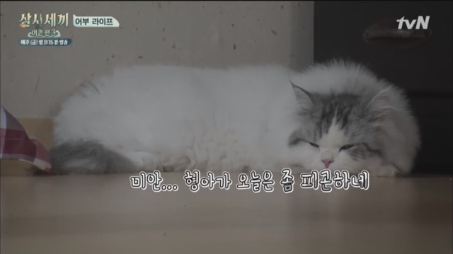 나영석 PD 예능에서 은근 호불호 나뉘는 편집.jpg | 인스티즈