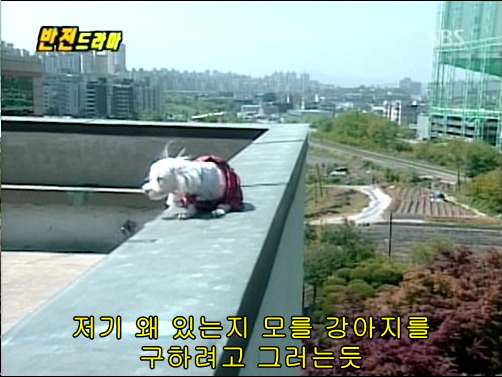 반전드라마 베스트 에피소드 형제 1 | 인스티즈