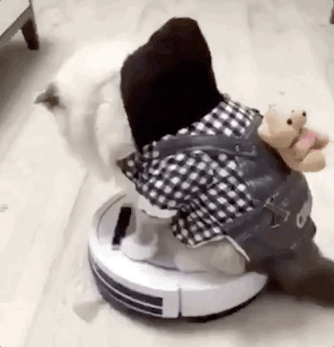 졸음운전의 위험성.gif | 인스티즈