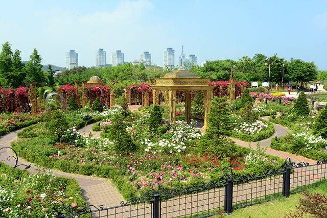 어느 지방 도시의 도심속 녹지.jpg | 인스티즈