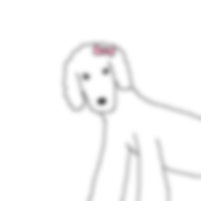 댕댕이의 운수좋은날.jpg | 인스티즈