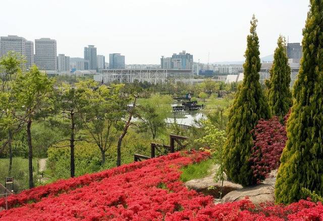 어느 지방 도시의 도심속 녹지.jpg | 인스티즈