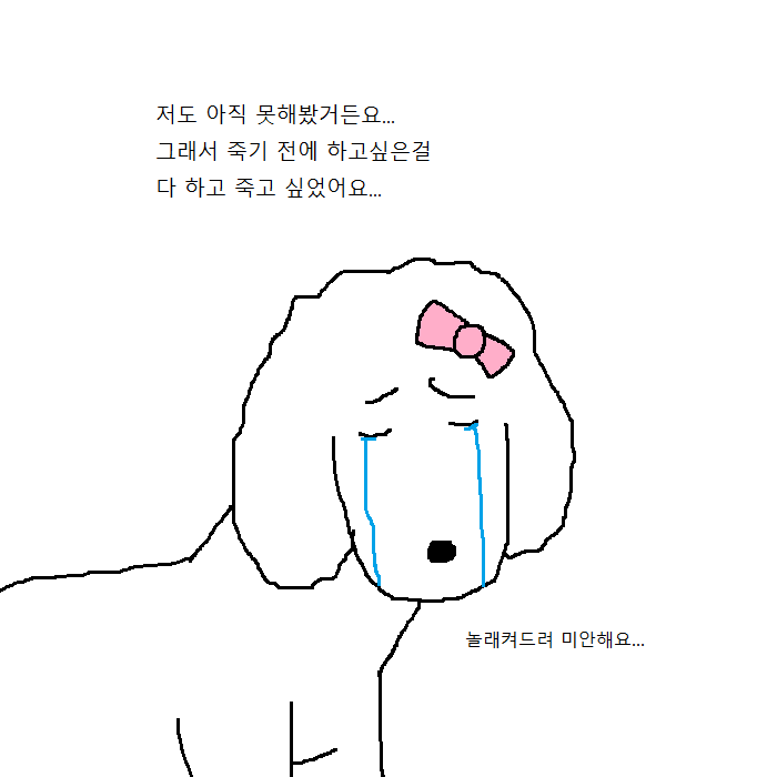 댕댕이의 운수좋은날.jpg | 인스티즈