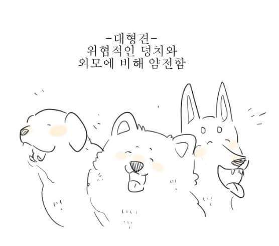 소형견과 대형견의 차이jpg | 인스티즈