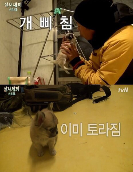 나영석 PD 예능에서 은근 호불호 나뉘는 편집.jpg | 인스티즈