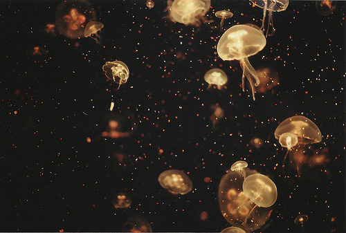  실패와 좌절을 겪고 있는 당신에게 힘이 되는 말 | 인스티즈