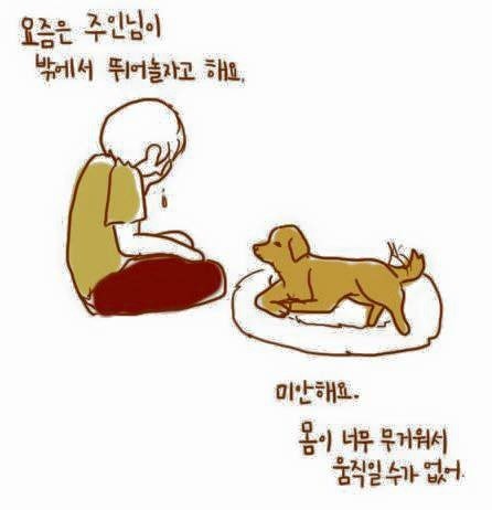 개가 늙어죽을 때 어떻게 죽는지 아니? | 인스티즈