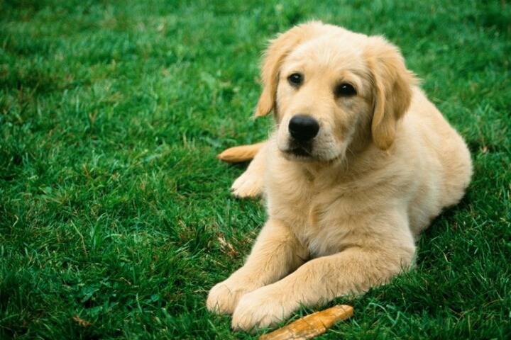 투표 안한사람보고 라 부르는것 실례인듯 | 인스티즈