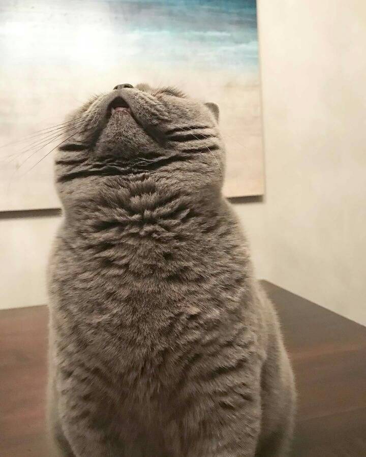 거대한 먼지덩어리들 | 인스티즈