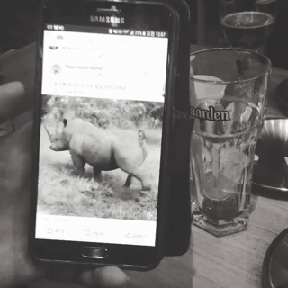 코뿔소 똥 먹는 이은결ㅋㅋㅋㅋㅋ | 인스티즈