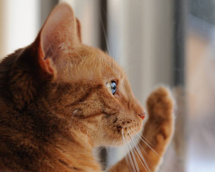 투명한 유리구슬처럼 보이지만~ | 인스티즈