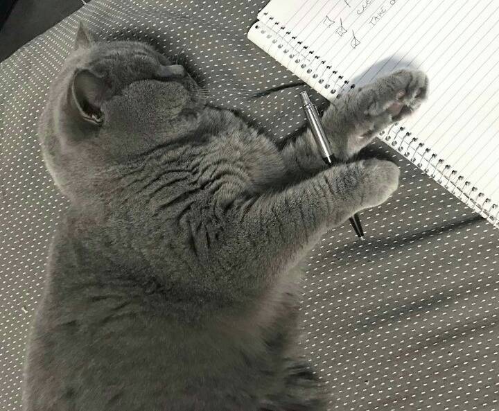 거대한 먼지덩어리들 | 인스티즈