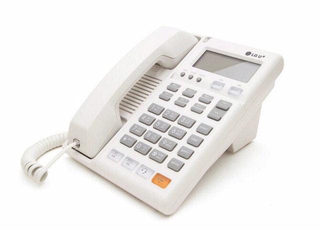 주갤누나사랑해 | 인스티즈