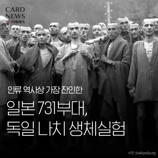 일제의 만행 | 인스티즈