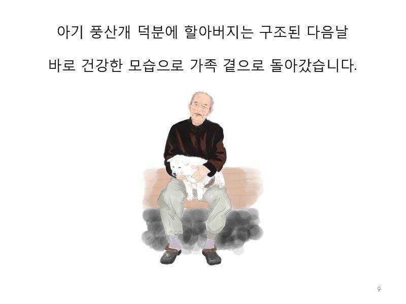 치매 할아버지를 구한 아기 풍산개 | 인스티즈