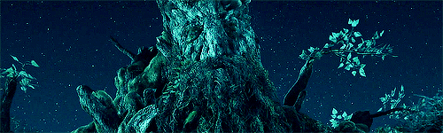 반지의 제왕 종족들 기원 . gif | 인스티즈